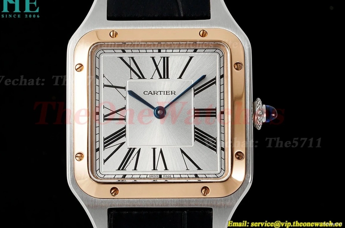 Dial Dumont Quartz Silver Santos Black AF LE RG 0204